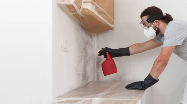 Professional Attic Mold Remediation technician working in Camden, NC