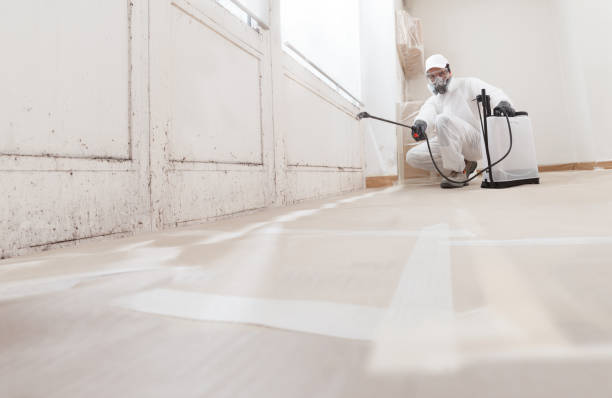 24/7 Emergency Attic Mold Remediation experts in Camden, NC