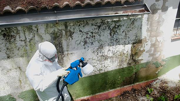 Top rated local Attic Mold Remediation specialists in Camden, NC